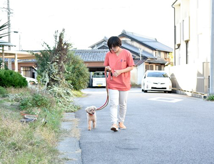 ペットホテル